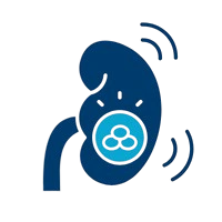 Savvy Med Billing Nephrology