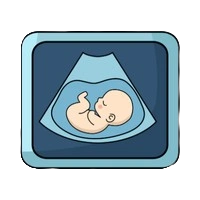 Savvy Med Billing OBGyn